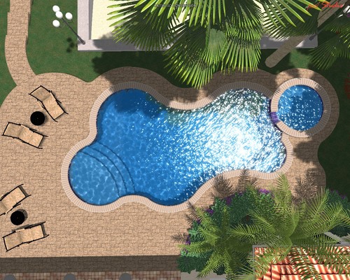 Picture+005 florida swimming pool designs