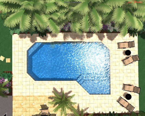 Picture+013 south florida pool designs
