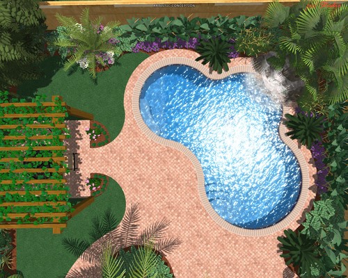 Picture+015 custom pool design 2
